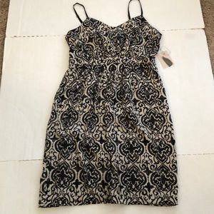Forever 21 Dress SZ L Beige/Black NWT